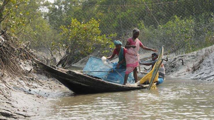 আগুনে ভস্মীভূত দুই ভাইয়ের বাড়ি, পাশে সভাপতি ও কর্মাধ্যক্ষের ত্রাণ