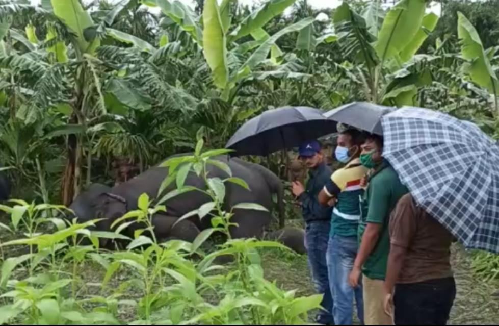 হিজলায় ট্রলারডুবির ঘটনায় নিখোঁজ এক মরদেহ উদ্ধার: