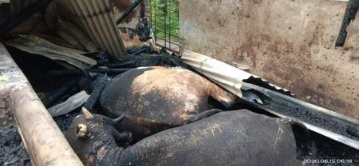 নাটোরে অগ্নিকান্ডে ২ কৃষকের প্রায় ১২ লক্ষ টাকার ক্ষতি