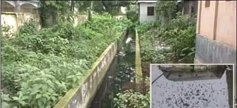 গাইবান্ধায় করোনা আতঙ্কের মধ্যেই বাড়ছে ডেঙ্গুর শঙ্কা: