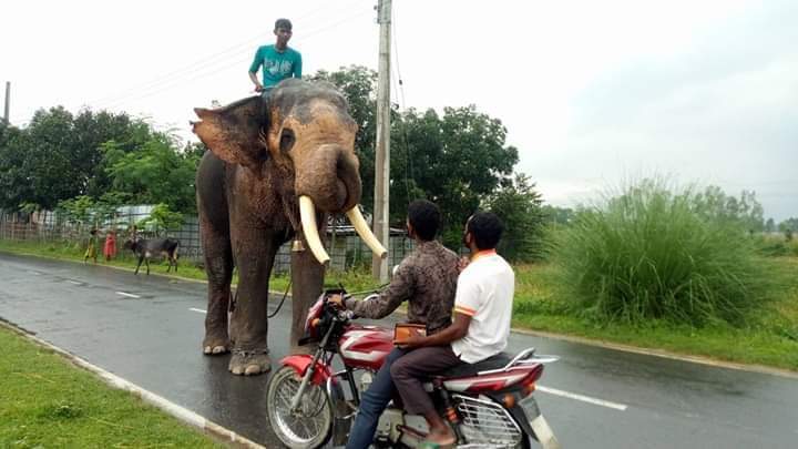 নীলফামারীতে অভিনব পদ্ধতিতে চলছে চাঁদাবাজি।