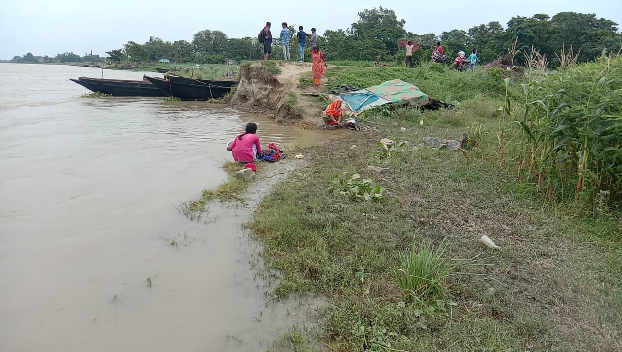 গঙ্গার জল বাড়ছে ক্রমাগত নদীয়ার নৃসিংহপুরে চৌধুরীপাড়ায় চাষির ফসল সহ চাষের জমি গঙ্গাবক্ষে