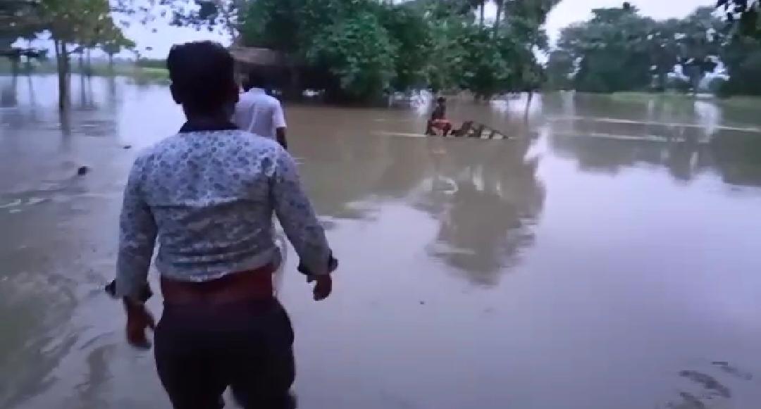 দশ হাজার বিঘা জমি জলের তলায়, প্লাবিত কান্দী মহকুমার সুকদানপুর গ্রাম