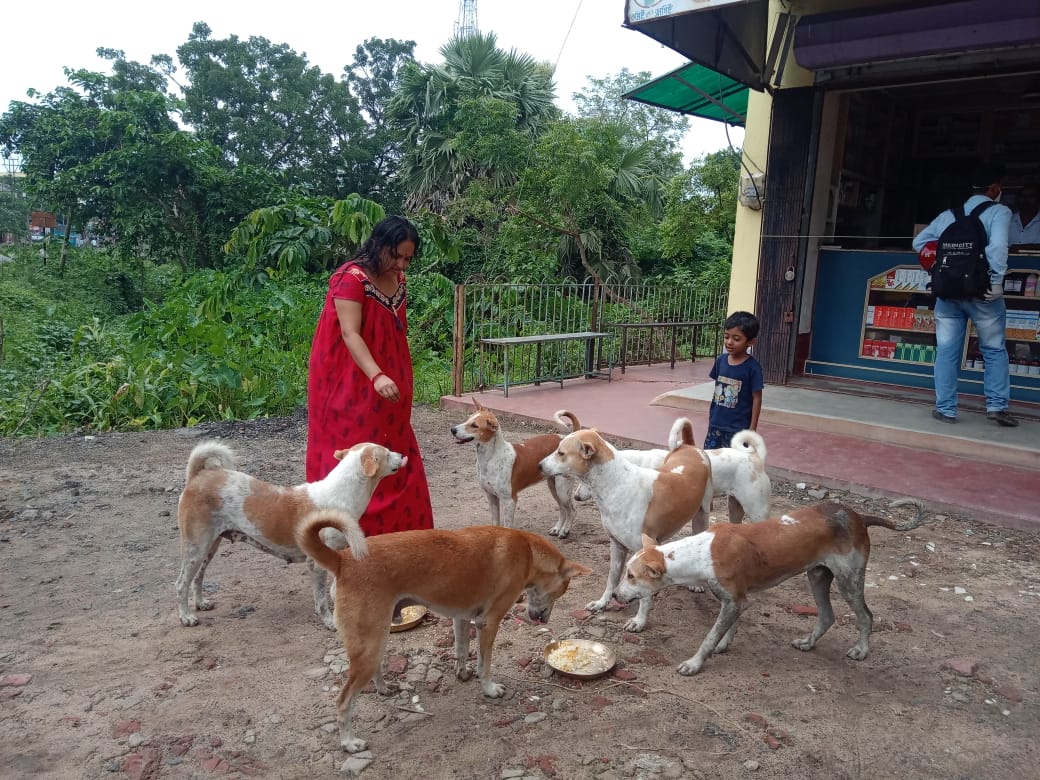 সপ্তাহিক লকডাউনের দিনে পথ কুকুরের খাবারের ব্যবস্থা