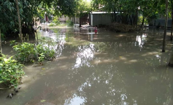 নাটোরের লালপুরে বিলমাড়ীয়া ইউনিয়নের ৬ শতাধিক পরিবার পানিবন্দি
