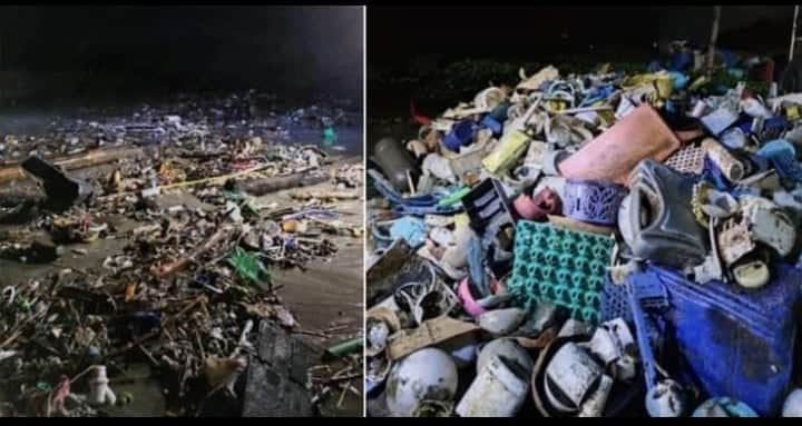 কক্সবাজারে সাগরের বর্জ্যে দেশি স্যান্ডেল, বিদেশি মদের বোতল, বিরল সাপ।