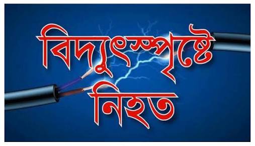 পাকুন্দিয়ায় বিদ্যুৎস্পৃষ্টে প্রানগেল শ্রমিকের