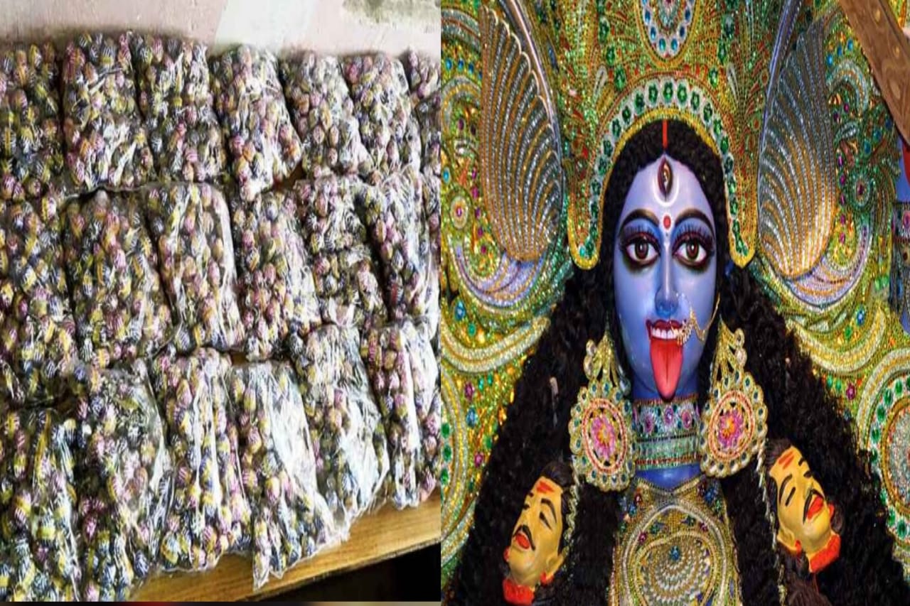 কালীপুজোয় বাজি না পোড়ানোর আবেদন মুখ্যমন্ত্রীর, আবেদন করলেন মুখ্য সচিবও