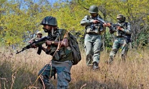 সেনার সঙ্গে সংঘর্ষএ নিকেশ জঙ্গি, দক্ষিণ কাশ্মীরের পুলওয়ামার ঘটনা, জারি তল্লাশি