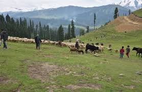 সংঘর্ষ বিরতির পর কাশ্মীরে স্বস্তির হাওয়া, খুলছে স্কুল-কলেজ-বাজার, ফিরছে স্বাভাবিক জীবন