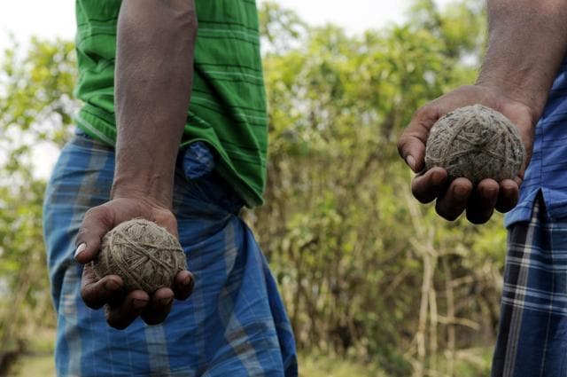 মুর্শিদাবাদে জমি বিরোধে বোমা হামলায় প্রাণ গেল একজনের, তদন্তে পুলিশ
