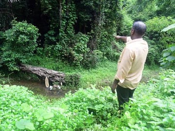 “বহু ধর্ষিতার দেহ কবর দিয়েছি” সাফাই কর্মীর বয়ানে ২৫ বছর পর কর্নাটকের মন্দিরের গোপন কাহিনি ফাঁস