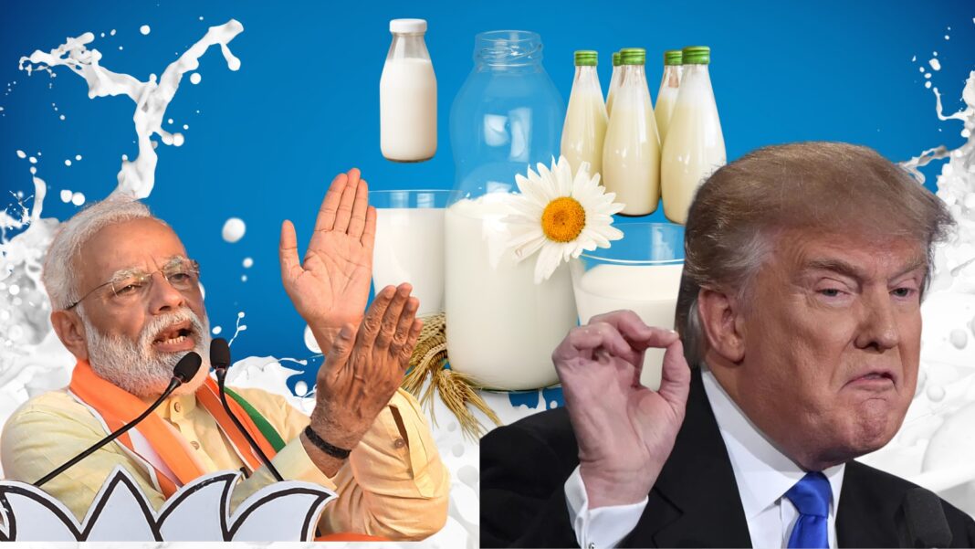 ভারত আমেরিকার বাণিজ্যের মাঝে আমিষ-নিরামিষ দুধ নিয়ে বচসা, দুই দেশের