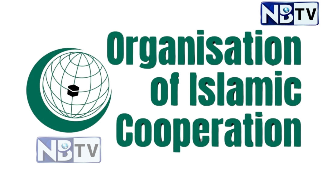 ভারতে মুসলিম বিদ্বেষ নিয়ে উদ্বেগ প্রকাশ করলো ওআইসি-র মানবাধিকার সংগঠন