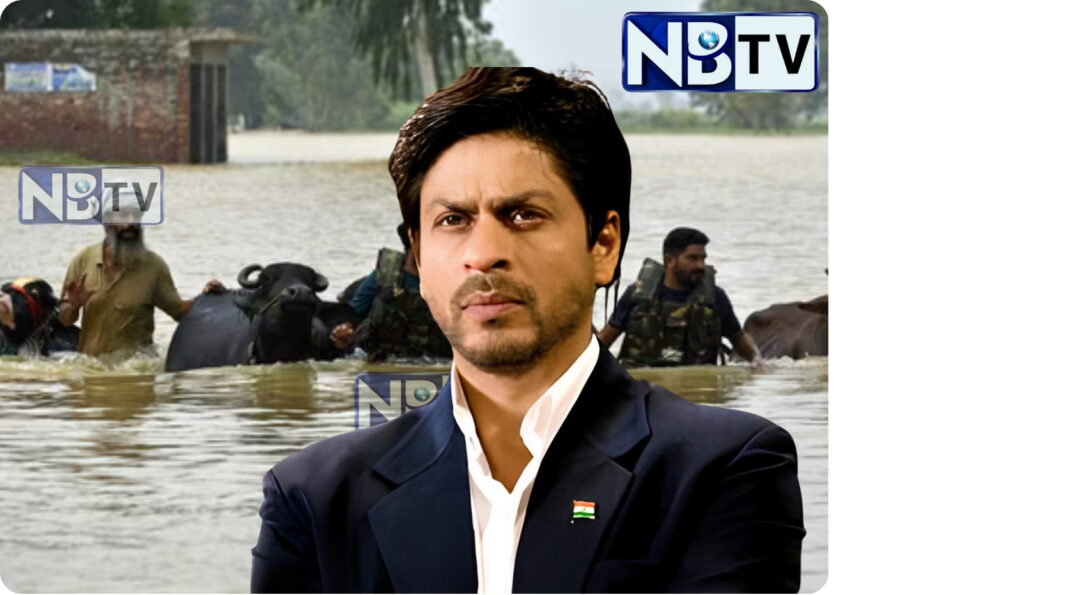 বন্যা কবলিত পাঞ্জাববাসীদের পাশে মাসিহার মত এগিয়ে এলেন বলিউড বাদশা শাহরুখ খান