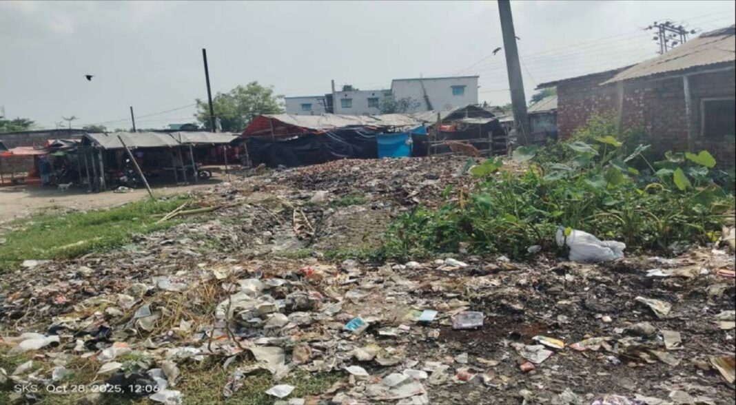 মালদার কনুয়া বাজারে আবর্জনার স্তূপ থেকে বেরোচ্ছে দুর্গন্ধ, নাজেহাল সাধারণ মানুষ