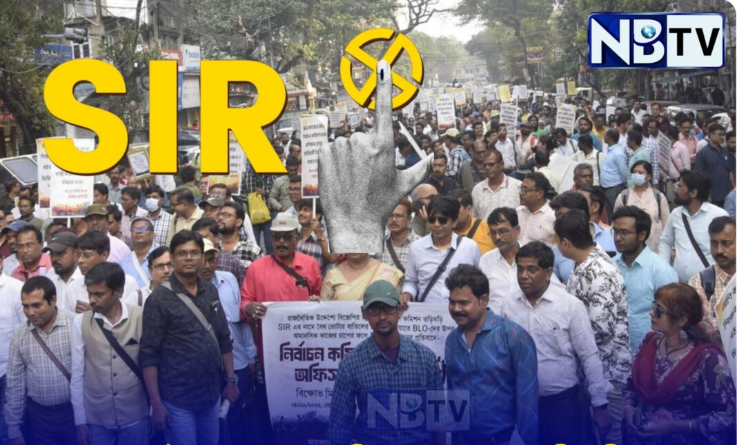 এসআইআর প্রক্রিয়ার অতিরিক্ত চাপেই বাড়ছে বিএলওদের মৃত্যু, দেশজুড়ে তীব্র সমালোচানার ঝড়