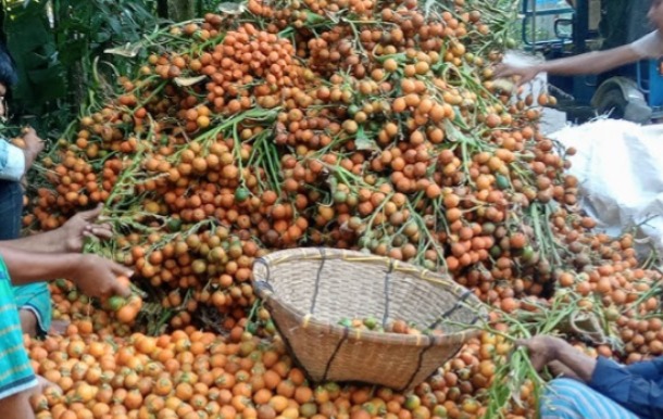 ধূপগুড়িতে মুসলিম সুপারি ব্যবসায়ীকে রোহিঙ্গা অপবাদে বেধড়ক মারধর