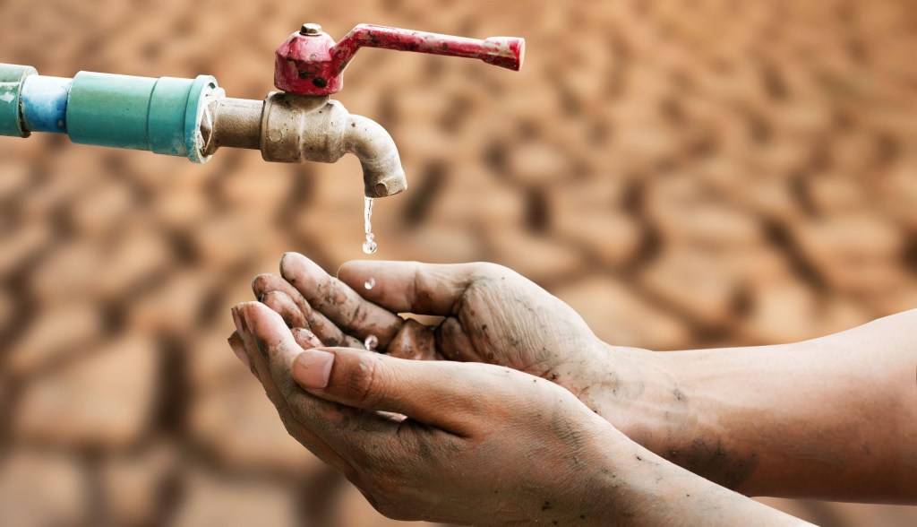 ভালুকায় জলের সংকট চরমে, বন্ধ সরকারি সরবরাহ ও বেসরকারি প্ল্যান্ট—দুর্ভোগে প্রায় ১৫ হাজার বাসিন্দা