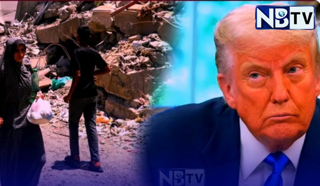 জিএইচএফ ঘিরে তীব্র বিতর্ক, গাজায় গণহত্যায় উঠে আসছে যুক্তরাষ্ট্রের জড়িত থাকার অভিযোগ!