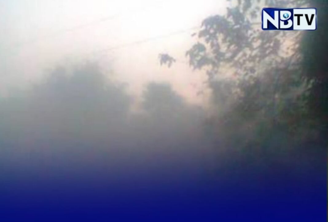 মুর্শিদাবাদে শীতের দাপট বাড়ছে, কুয়াশায় ব্যাহত জনজীবন