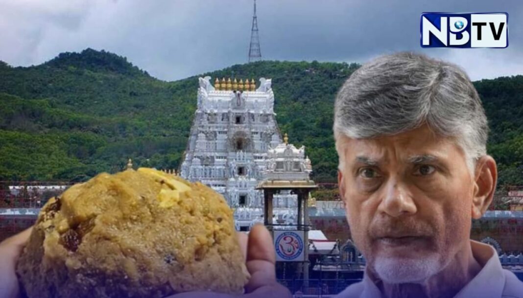 তিরুপতি লাড্ডুতে নেই গরুর চর্বি , কৃত্রিম ঘির কেলেঙ্কারি প্রকাশ! চন্দ্রবাবু নায়ডুর অভিযোগ ভুয়া প্রমাণিত