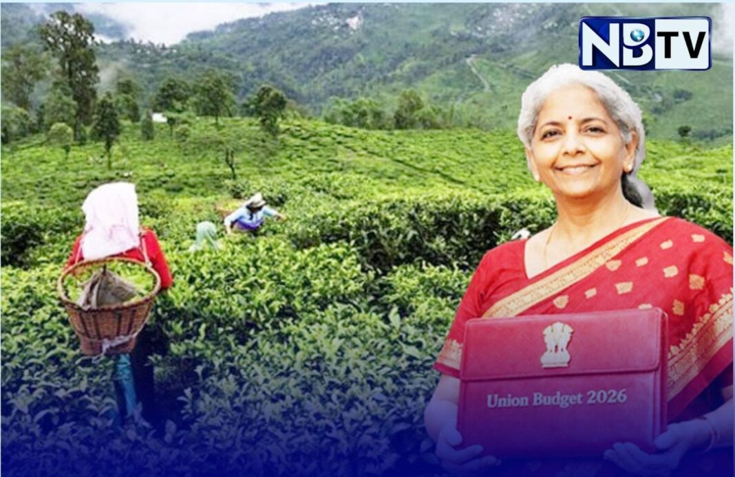 কেন্দ্রীয় বাজেটে চা শিল্পের জন্য নেই কোনও ঘোষণা, তরাই-ডুয়ার্সে হতাশা ও ক্ষোভ শ্রমিক মহলে!