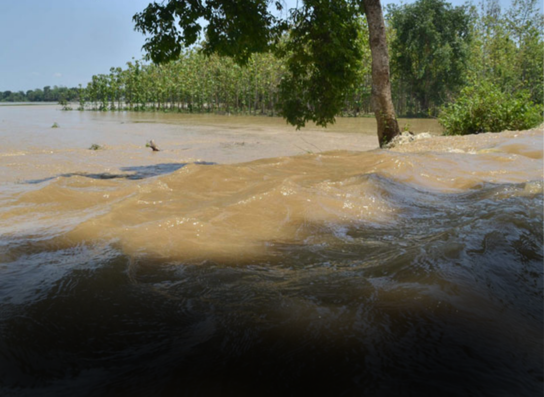 ভুটানে ভারী বৃষ্টির জের, আলিপুরদুয়ারে প্লাবিত বিস্তীর্ণ এলাকা! বিচ্ছিন্ন যোগাযোগ ব্যবস্থা