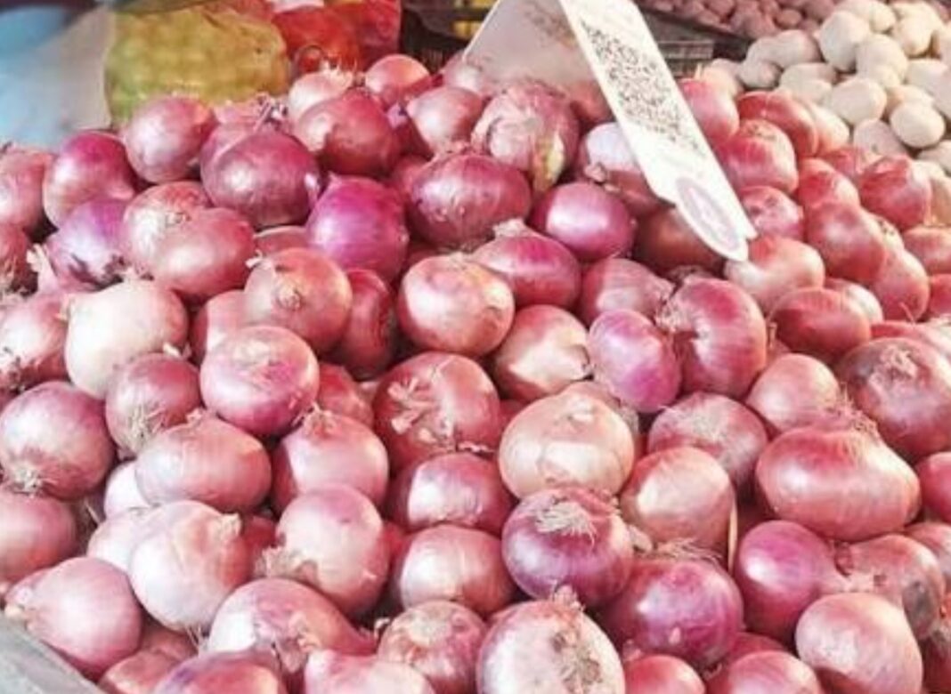 পেঁয়াজের দামে নাভিশ্বাস দিল্লিতে, দাম কমাতে ট্রেন ভর্তি পেঁয়াজ নিয়ে নাসিক থেকে দিল্লি পৌছল ‘কান্দা এক্সপ্রেস’