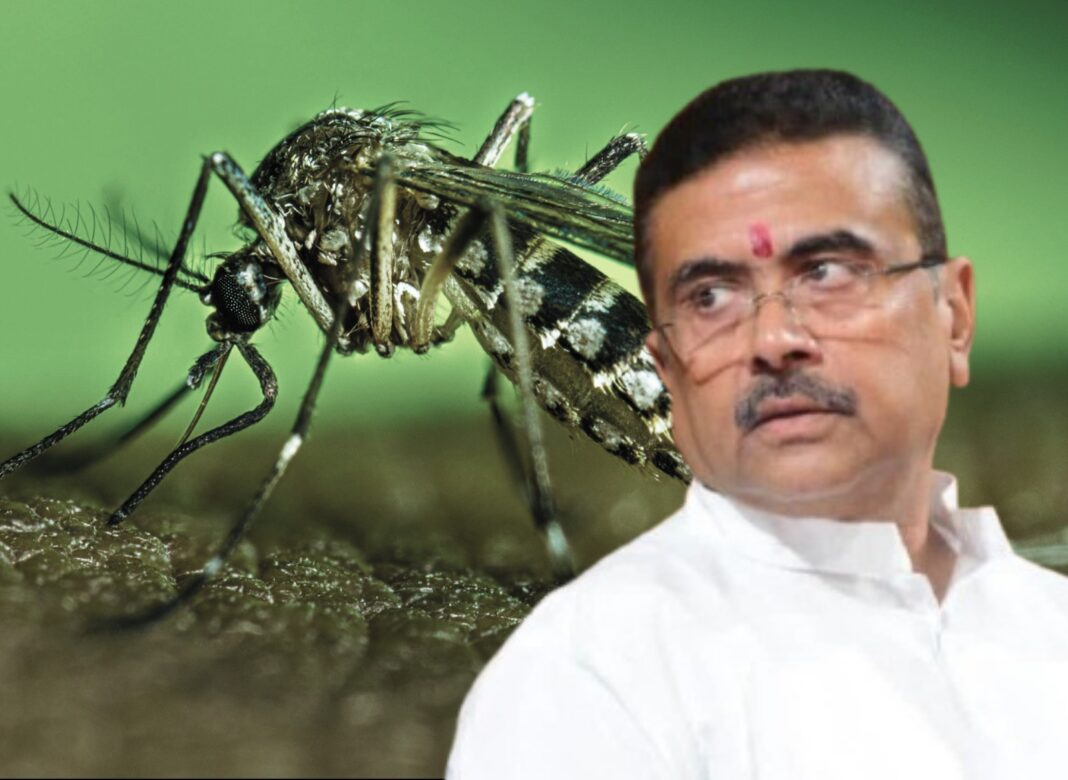 রাজ্যে ডেঙ্গু আক্রান্ত ১৪৮ জন! কড়া নজরদারির আশ্বাস মুখ্যমন্ত্রীর