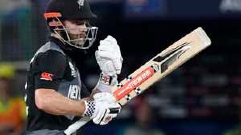williamson-will-join-the-test-specialist-group-in-jaipur